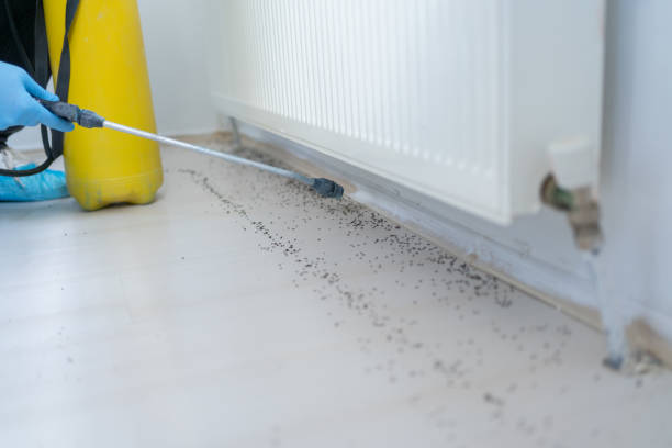 Pest Prevention Services in Lake Wisconsin, WI